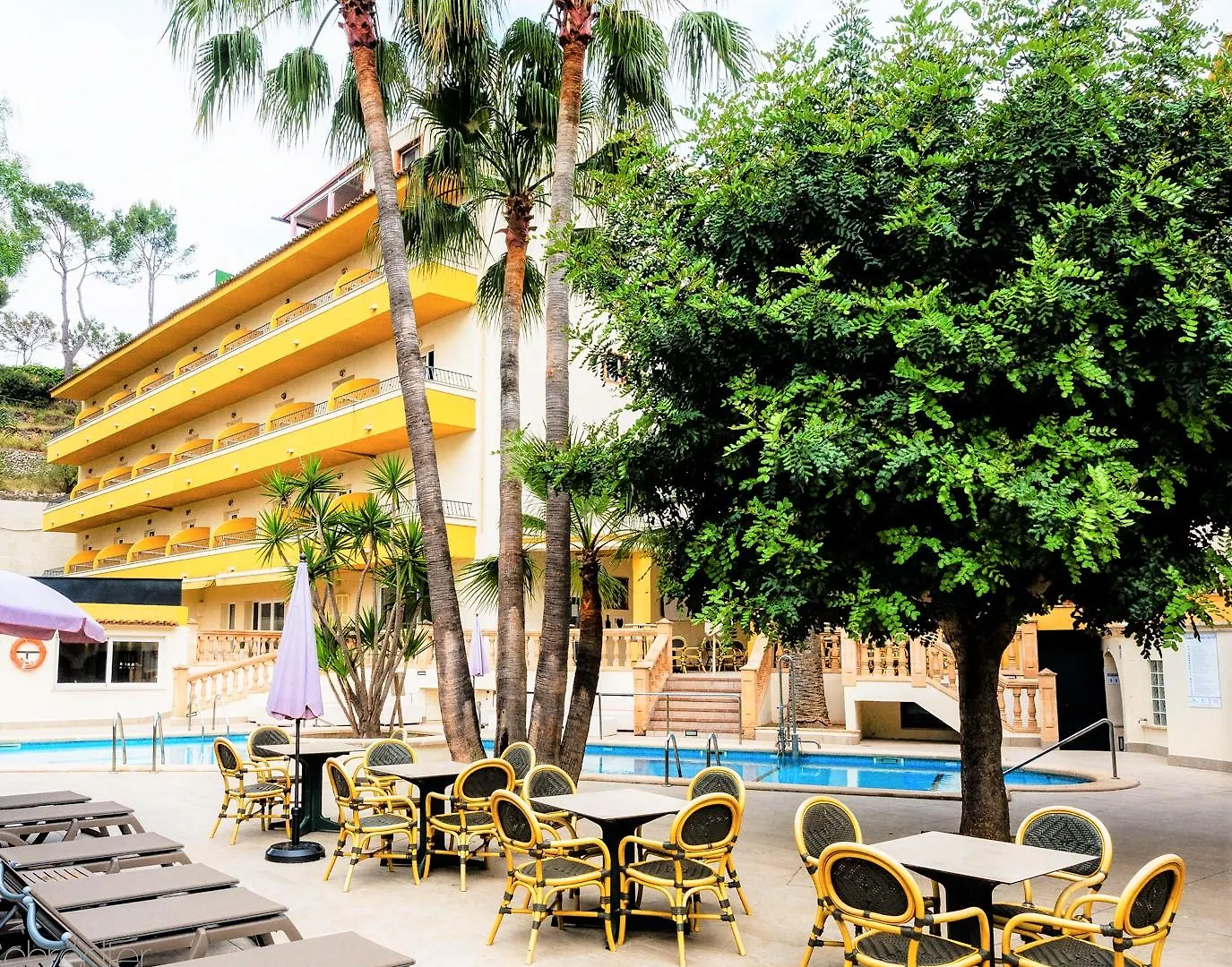 Flor Los Almendros Hotel Peguera